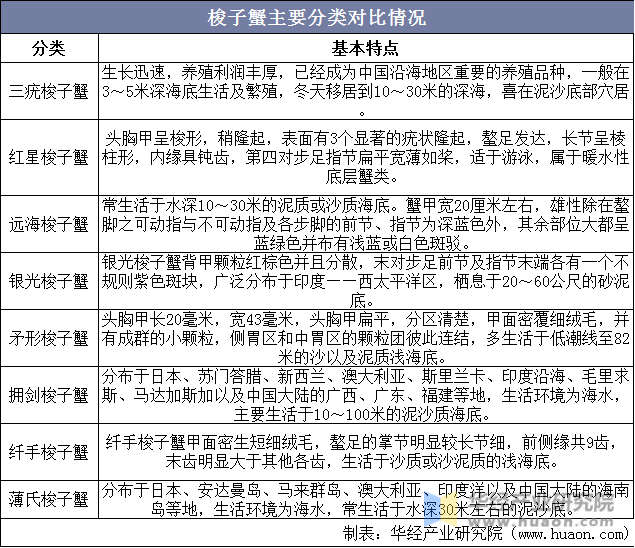 梭子蟹主要分类对比情况