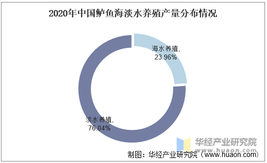 2020年中国鲈鱼海淡水养殖产量分布情况