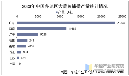 2020年中国各地区大黄鱼捕捞产量统计情况