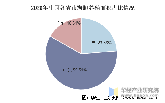 2020年中国各省市海胆养殖面积占比情况