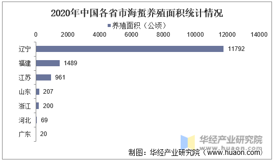 2020年中国各省市海蜇养殖面积统计情况