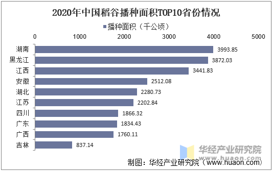 2020年中国稻谷播种面积TOP10省份情况
