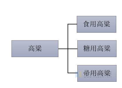 高粱的分类