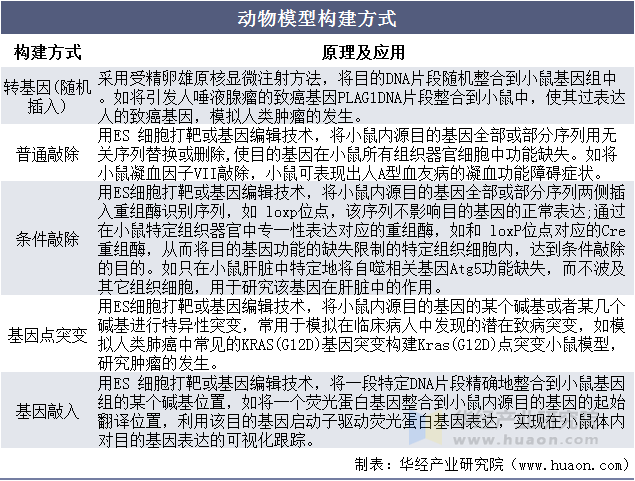 动物模型构建方式
