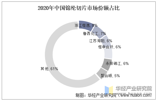 2020年中国锦纶切片市场份额占比