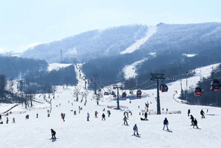 冬奥会点燃了大众对冰雪运动及冰雪消费的热情！冰雪经济乘势而起，我国冰雪产业已驶入快车道「图」