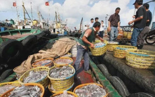 俞燕：1700多万名渔民，将迎来属于自己的互助保险社，从渔人变成保险人