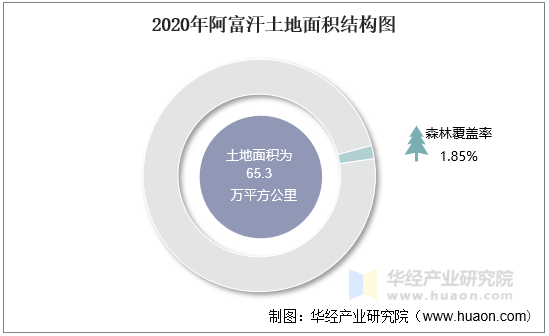 2020年阿富汗土地面积结构图