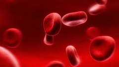 造血干细胞能否成为艾滋病的“终结者”