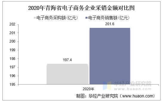 2020年青海省电子商务企业采销金额对比图