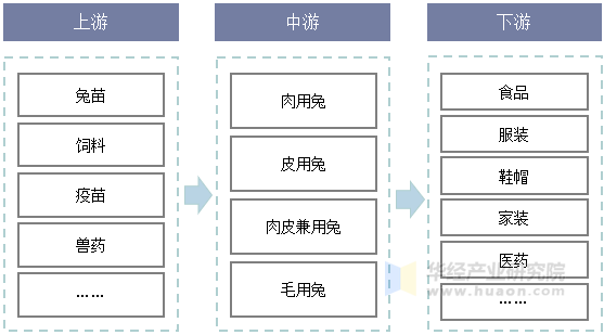 家兔行业产业链示意图