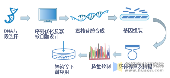 金斯瑞DNA合成全流程闭环服务