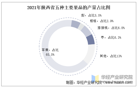 2021年陕西省五种主要果品的产量占比图