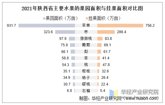 2021年陕西省主要水果的果园面积与挂果面积对比图