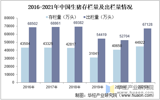 2016-2021年中国生猪存栏量及出栏量情况