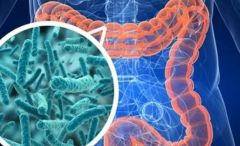 科学家发现宿主基因影响肠道菌群的因果突变