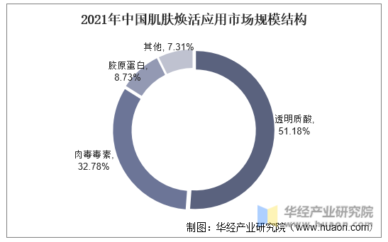 2021年中国肌肤焕活应用市场规模结构