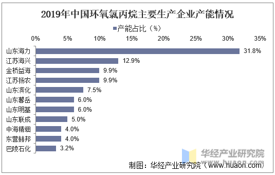 2019年中国环氧氯丙烷主要生产企业产能情况