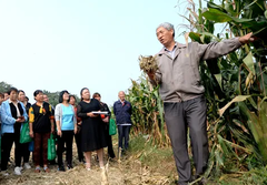 职业农民培训忙人才振兴有保障