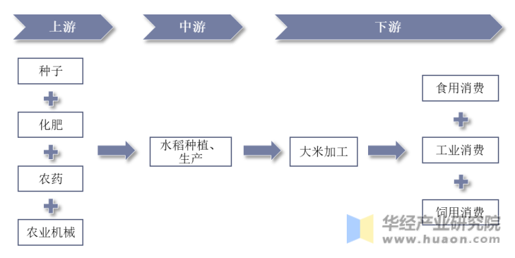 水稻行业产业链示意图