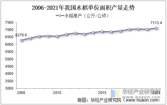 2006-2021年我国水稻单位面积产量走势