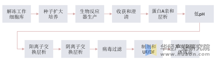 生物制剂生产流程（以单抗为例）