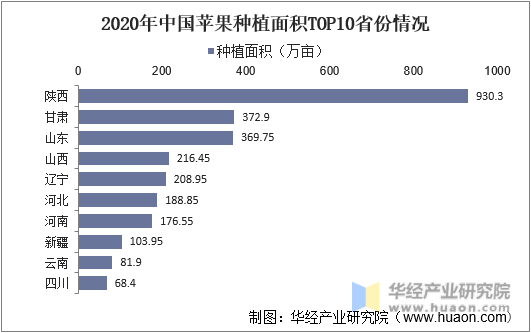 2020年中国苹果种植面积TOP10省份情况