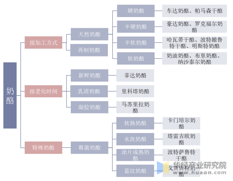 奶酪分类情况