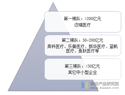 2021年中国医疗器械竞争梯队示意图（按营收）