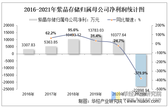2016-2021年紫晶存储归属母公司净利润统计图