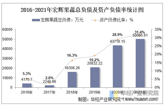 2016-2021年宏辉果蔬总负债及资产负债率统计图