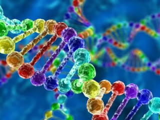 2022年中国生物医药行业市场调研及投资战略研究