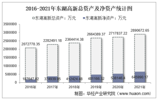 2021年东湖高新（600133）总资产、总负债、营业收入、营业成本及净利润统计