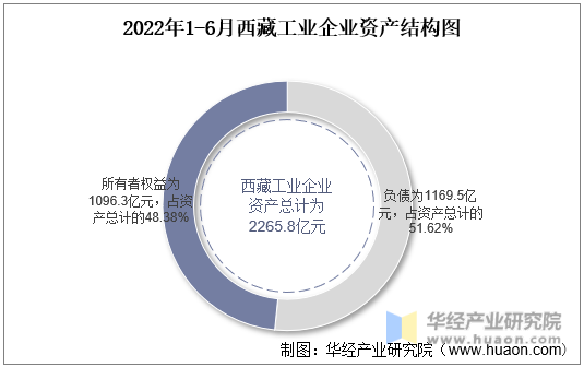 2022年1-6月西藏工业企业资产结构图