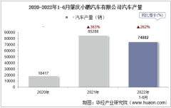 2022年6月肇庆小鹏汽车有限公司汽车产量、销量及产销差额统计分析