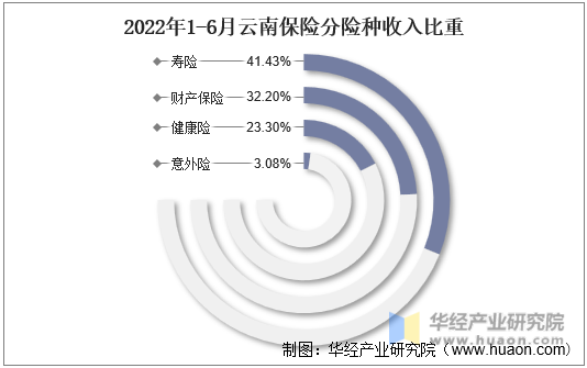 2022年1-6月云南保险分险种收入比重