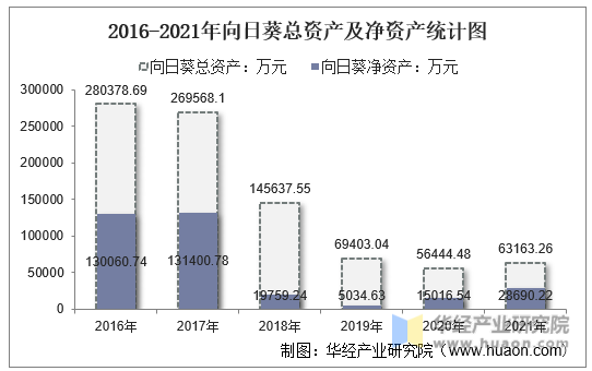 2016-2021年向日葵总资产及净资产统计图