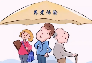 2022年中国养老保险行业市场调研及投资战略研究