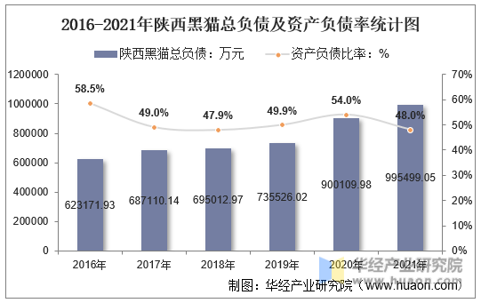 2016-2021年陕西黑猫总资产及净资产统计图