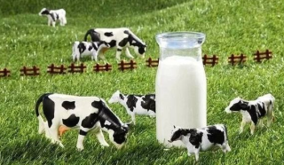 2022年上半年上市乳企营收1866.38亿元，实现了营收和净利润的双增长， 伊利、蒙牛领跑行业，占比近六成