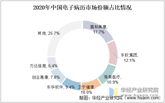 2020年中国电子病历市场份额占比情况