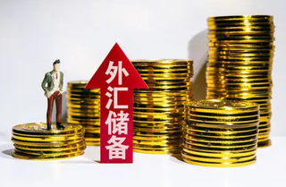 8月末我国外汇储备规模为30549亿美元