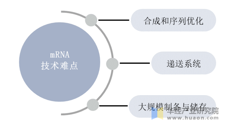 mRNA技术难点