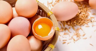 欧洲暴发史上最大规模禽流感，中国禽蛋市场会否受到影响？