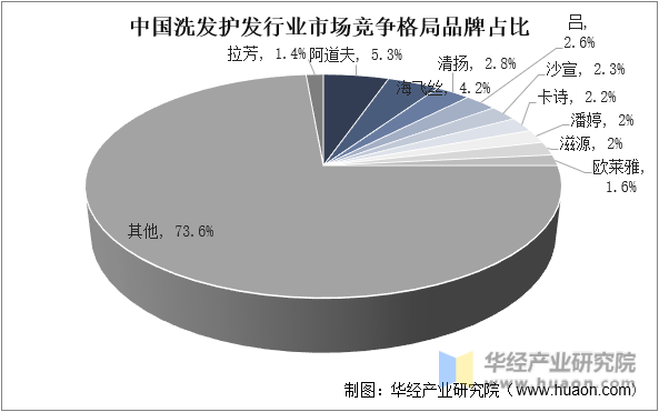 中国洗发护发行业市场竞争格局品牌占比情况