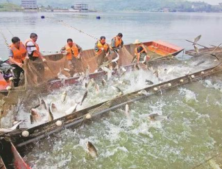 2022年中国水产捕捞行业分析，产业总体向好发展「图」