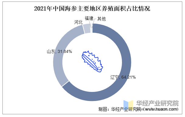 2021年中国海参主要地区养殖面积占比情况