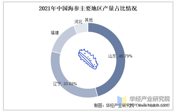 2021年中国海参主要地区产量占比情况