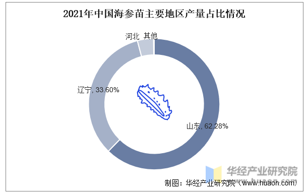 2021年中国海参苗主要地区产量占比情况