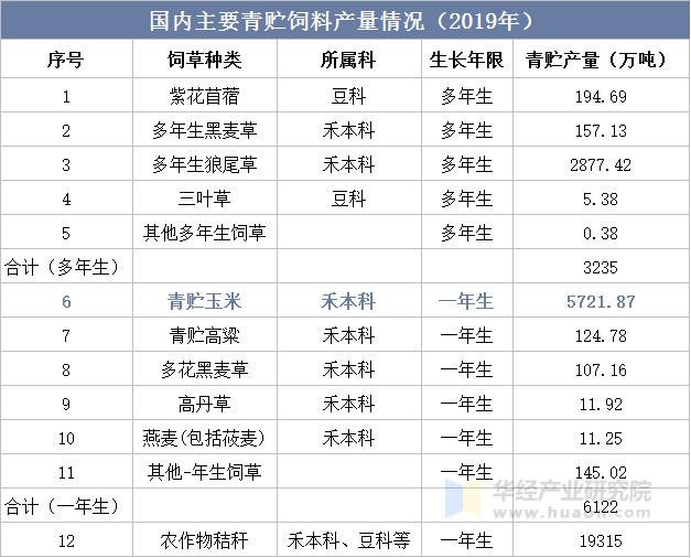 国内主要青贮饲料产量情况（2019年）